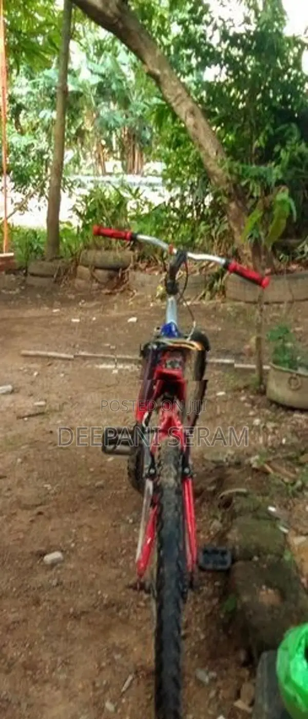 බයිසිකල්