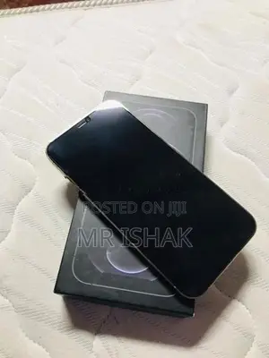 Apple iPhone 12 Pro Max (Used)