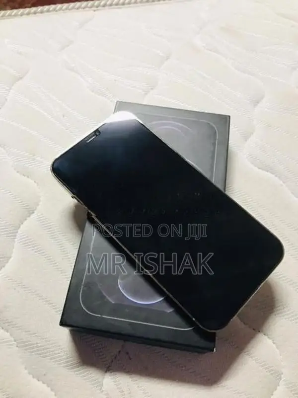 Apple iPhone 12 Pro Max (Used)