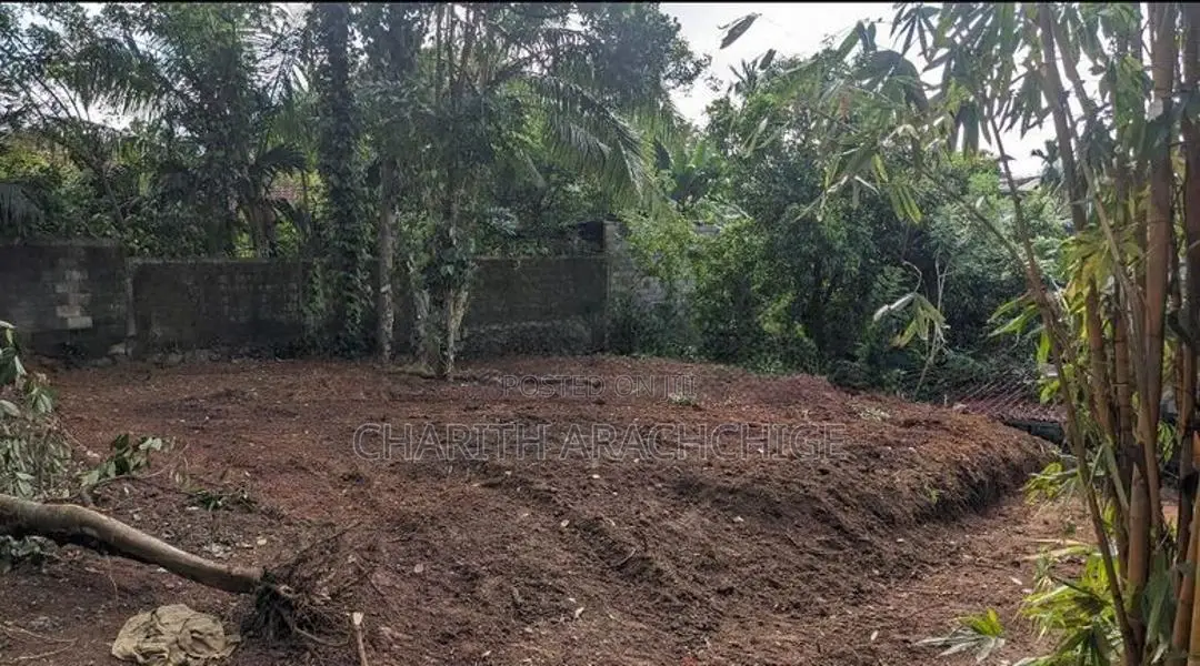Land for Sale in Pannipitiya