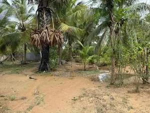 House with Land for Sale - Kilinochchi