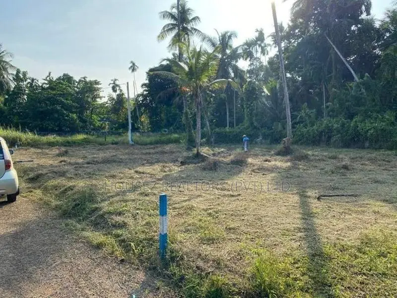 Prime Commercial Land for Rent – Nedagamuwa, Kotugoda