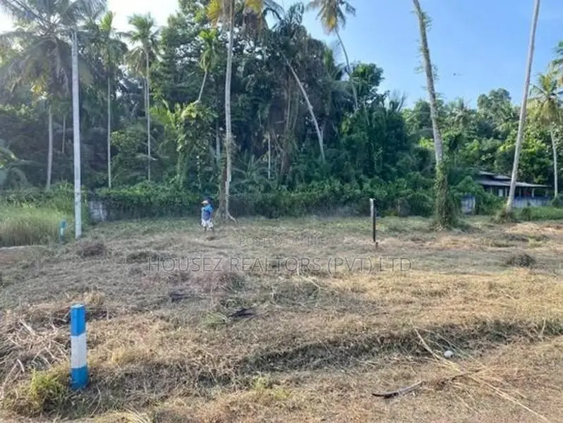 Prime Commercial Land for Rent – Nedagamuwa, Kotugoda