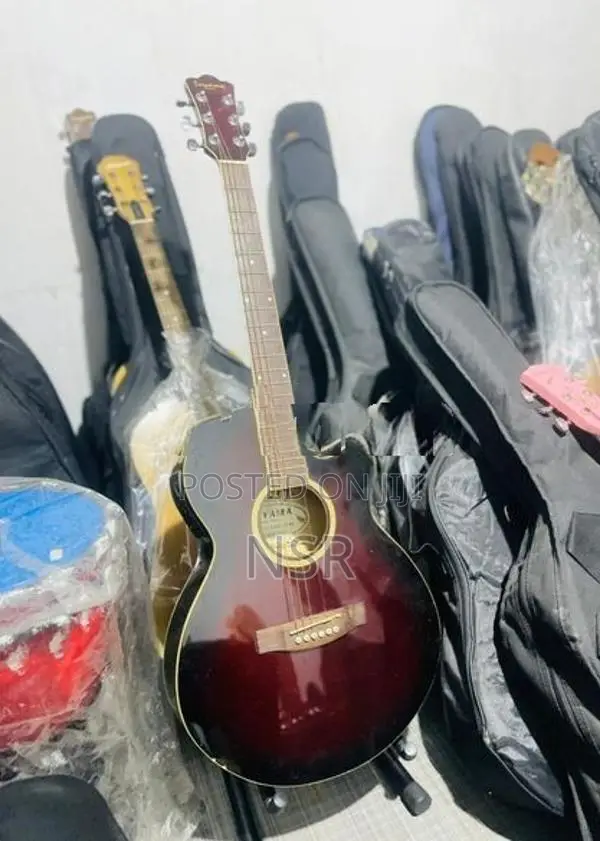 Toyama Semi Acoustics Guitar