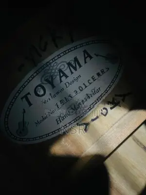 Toyama Semi Acoustics Guitar