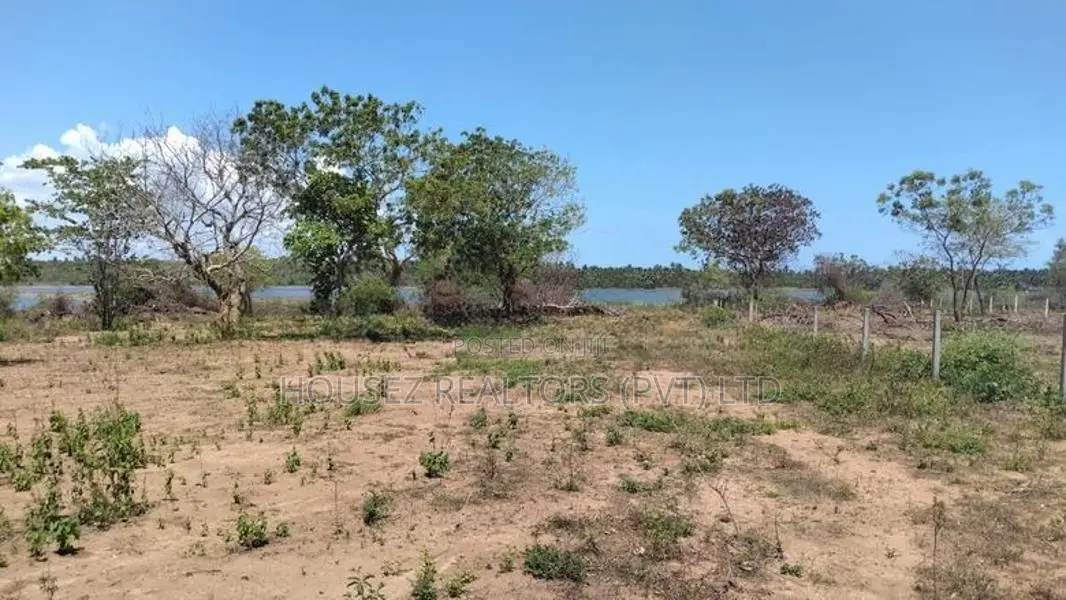 Prime Land for Sale in Tangalle – 560 Perches