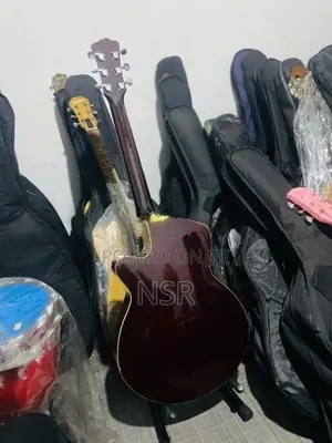 Toyama Semi Acoustics Guitar