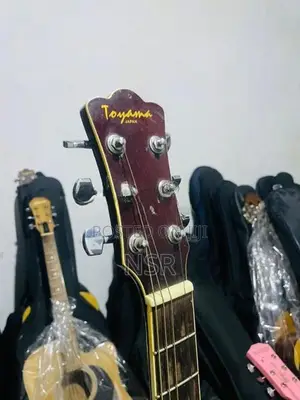 Toyama Semi Acoustics Guitar