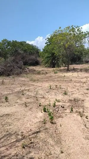 Prime Land for Sale in Tangalle – 560 Perches