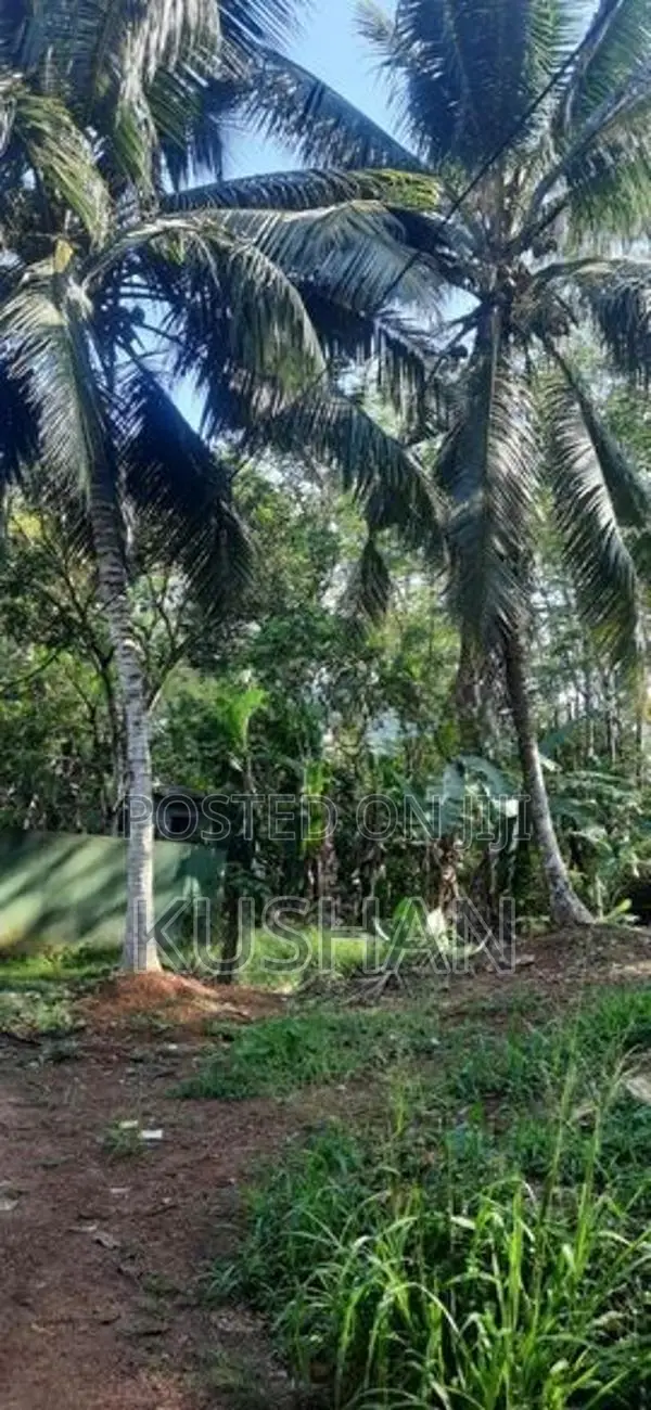 Land for Sale Homagama
