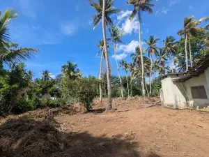 60P Valuable Land with Old House - Near Kuliyapitiya Town (Galahitiyaw