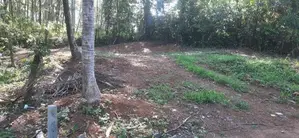 Land for Sale Homagama