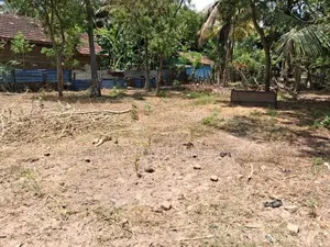 வளவு விற்பனைக்கு - பாலமுனை