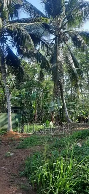 Land for Sale Homagama
