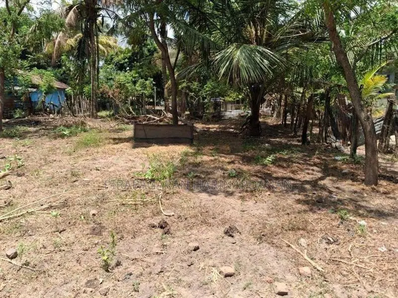 வளவு விற்பனைக்கு - பாலமுனை