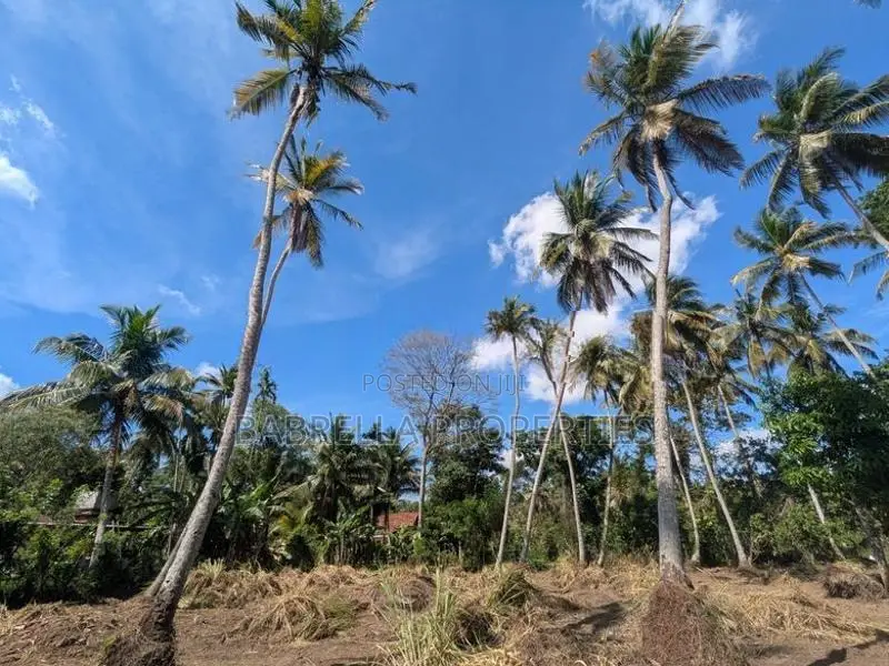 60P Valuable Land with Old House - Near Kuliyapitiya Town (Galahitiyaw