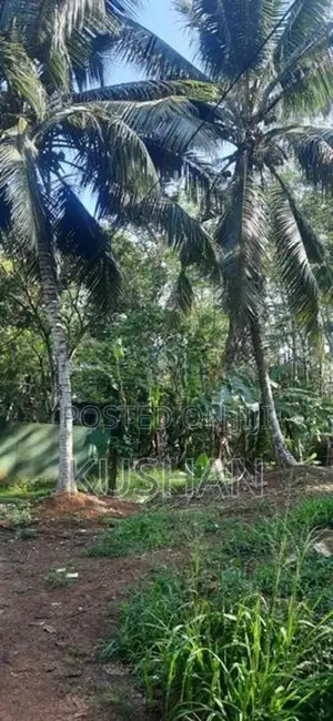 Land for Sale Homagama