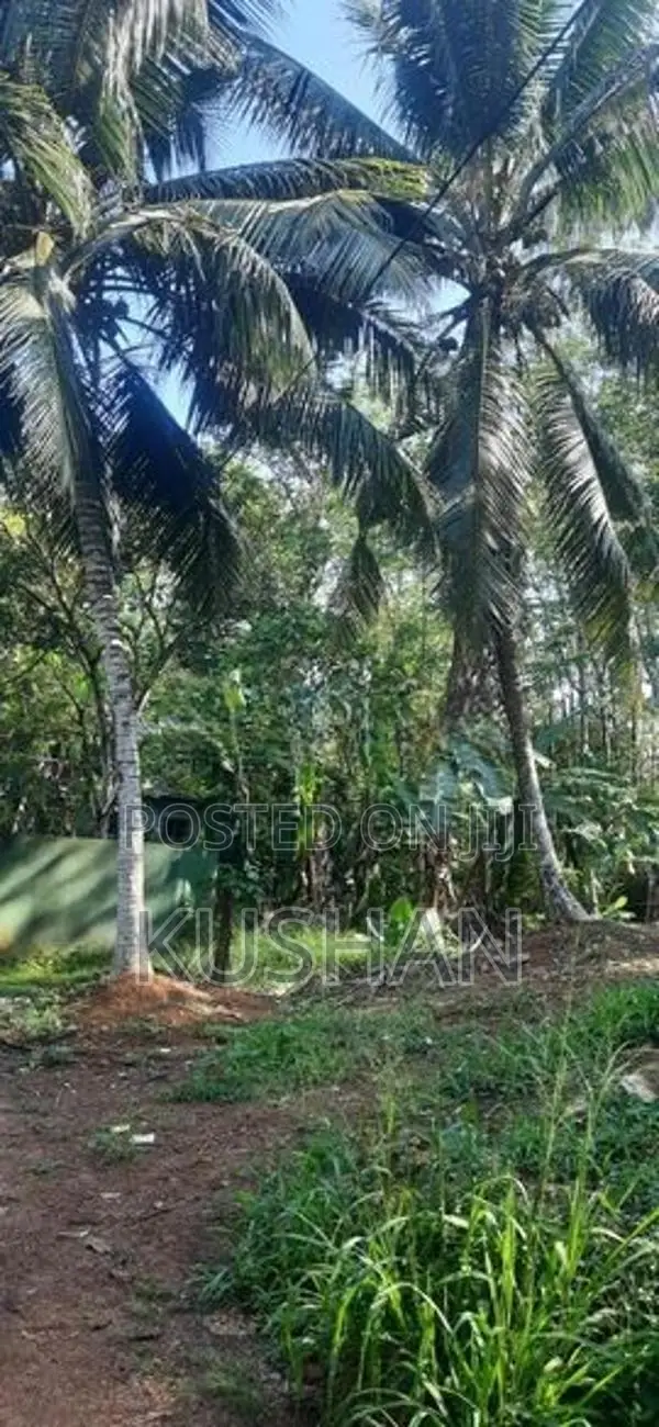 Land for Sale Homagama