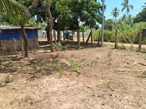 வளவு விற்பனைக்கு - பாலமுனை