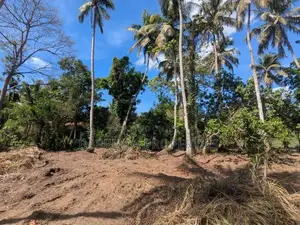 60P Valuable Land with Old House - Near Kuliyapitiya Town (Galahitiyaw