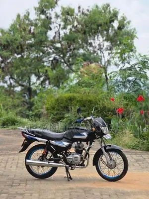Bajaj CT100 2010