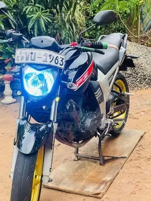 Yamaha FZ 1 2010