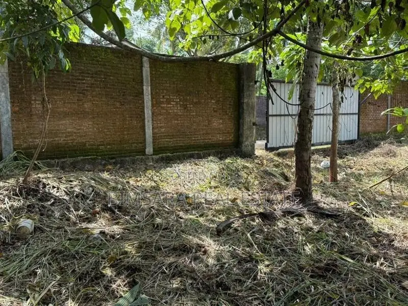 24P Prime Land for Sale - Moses Avenue, Kalagedihena | SL14684