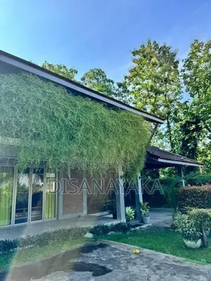 Super Luxury Two Storey House for Sale Ds3019