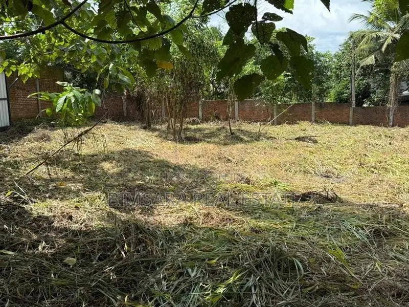 24P Prime Land for Sale - Moses Avenue, Kalagedihena | SL14684