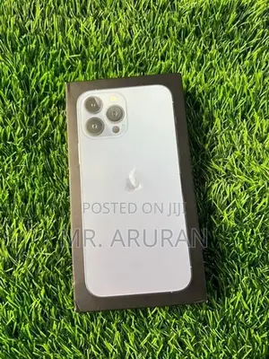 Apple iPhone 13 Pro Max (Used)