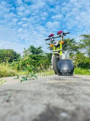 Honda Chaly 1992