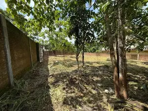 24P Prime Land for Sale - Moses Avenue, Kalagedihena | SL14684