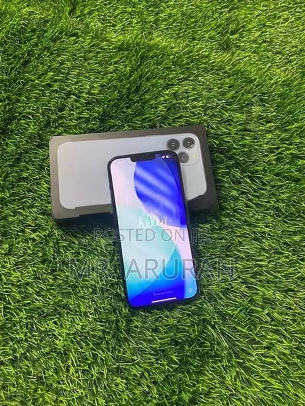 Apple iPhone 13 Pro Max (Used)