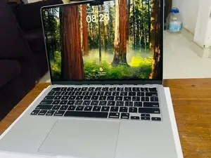 Apple MacBook Air M4 256/16GB