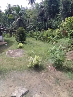 Land For Sale Hakmana
