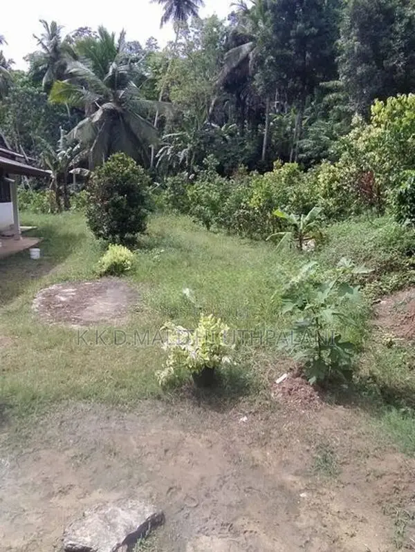 Land For Sale Hakmana
