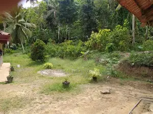 Land For Sale Hakmana