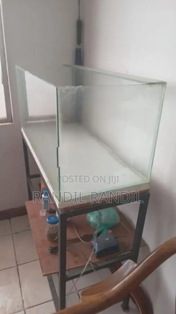 Tank with Iron Stand
