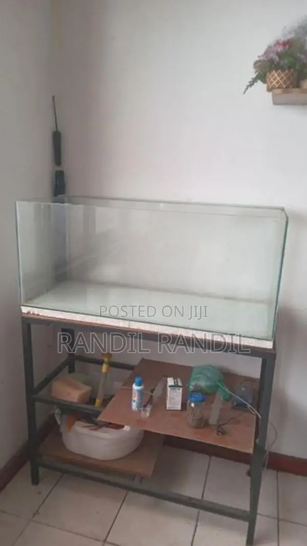 Tank with Iron Stand