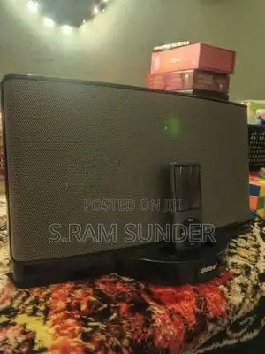 Bose Soundock 2 Speaker