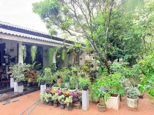 Land with House for Sale - Minuwangoda