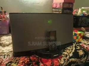 Bose Soundock 2 Speaker