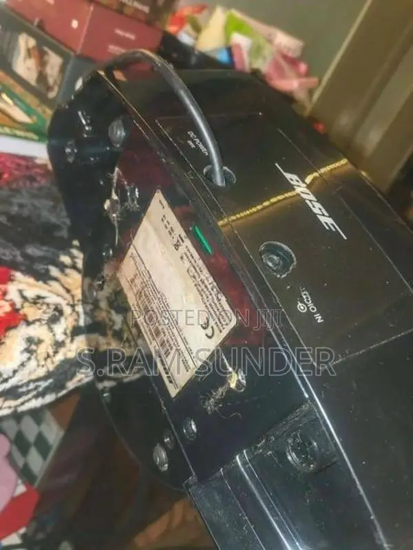 Bose Soundock 2 Speaker