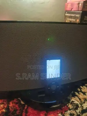 Bose Soundock 2 Speaker