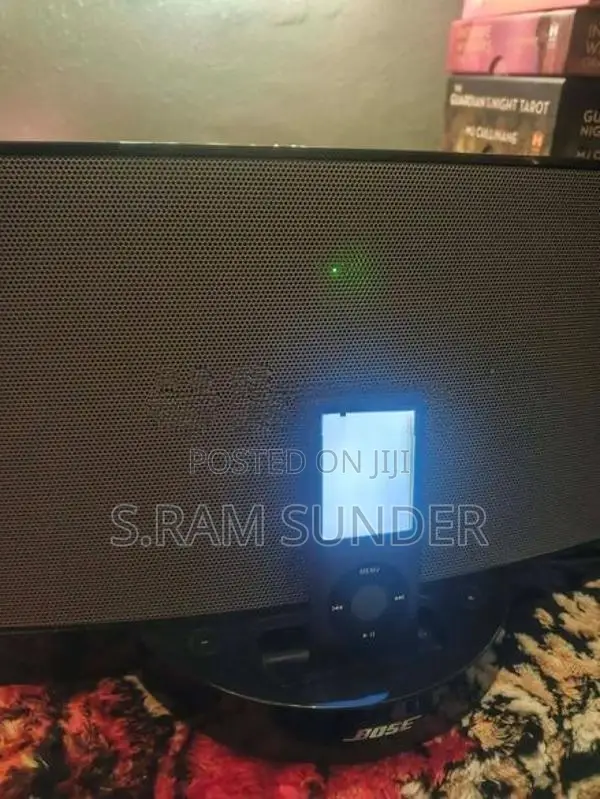 Bose Soundock 2 Speaker