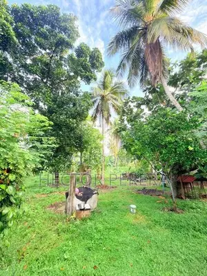 Land with House for Sale - Minuwangoda