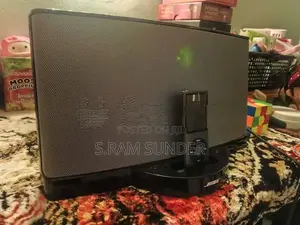 Bose Soundock 2 Speaker