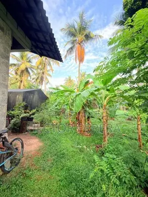 Land with House for Sale - Minuwangoda
