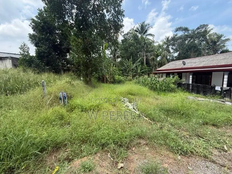 8 Perch Land for Sale in Kottawa