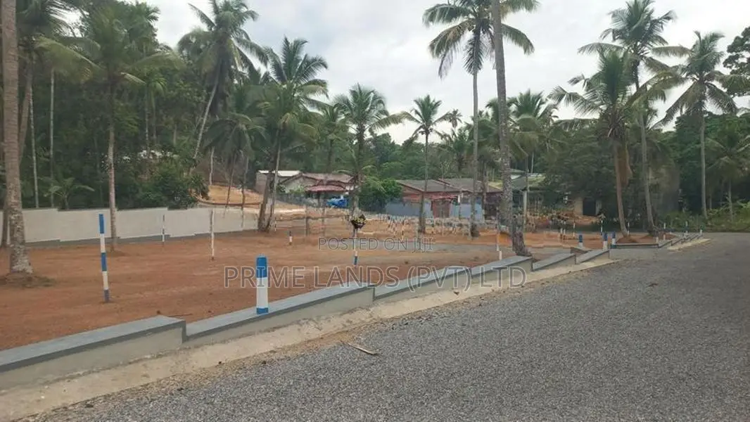 කඩවත බිම් කොටස්